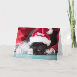 Tarjeta Festiva "nariz: si has sido una mala carta.