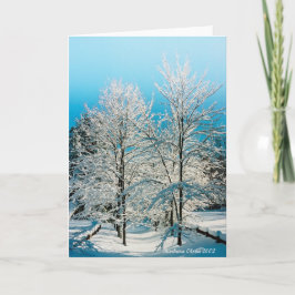 Tarjeta Festiva Naturaleza: Llena de divinidad Estanque Walden