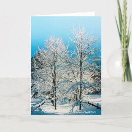 Tarjeta Festiva Naturaleza: Lleno de divinidad Estanque Walden