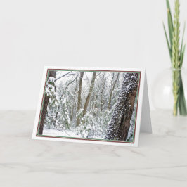 Tarjeta Festiva ***Naturaleza: Vive cada temporada: Walden Pond