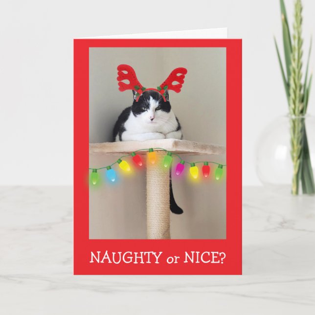 Tarjeta Festiva Naughty or Nice Funny Cat Christmas  (Anverso)
