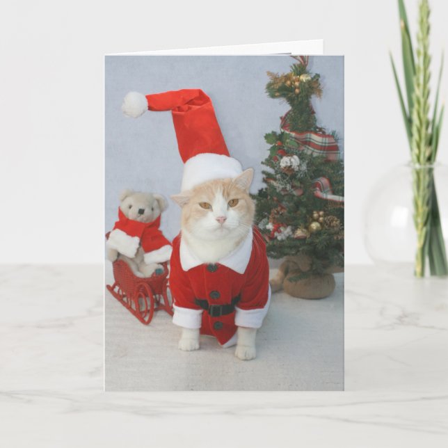 Tarjeta Festiva ¡Navidad de MEOWry! (Anverso)