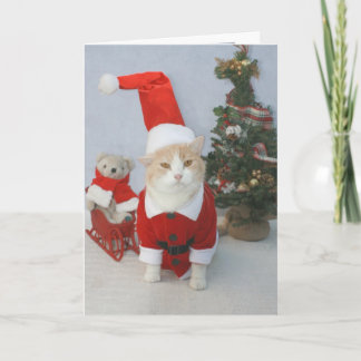 Tarjeta Festiva ¡Navidad de MEOWry!
