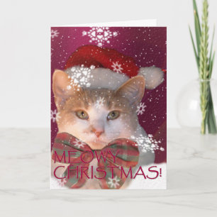 Tarjeta Festiva ¡Navidad de Meowy!