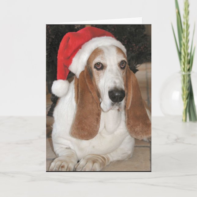 Tarjeta Festiva ¡Navidad Howlidays Afloramiento-Feliz! (Anverso)