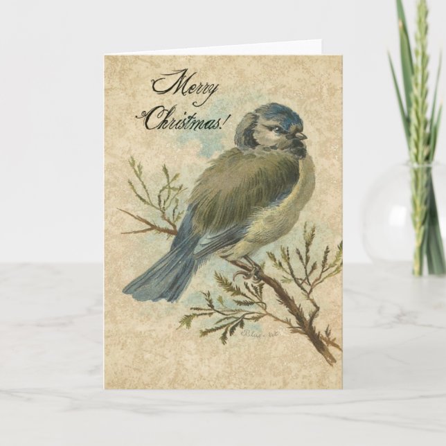 Tarjeta Festiva Navidad, vintage Bluetit (Anverso)