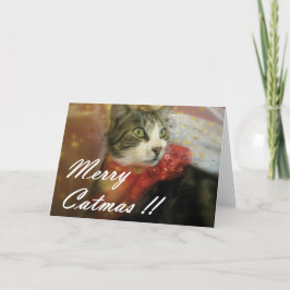 Tarjeta Festiva Navidades