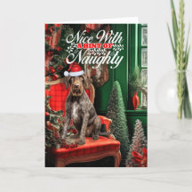 Navidades Alemán Wirehair Puntero travieso o agrad