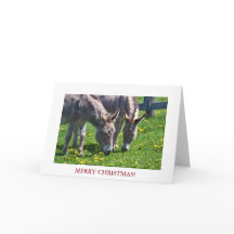 Navidades Animal Donkey