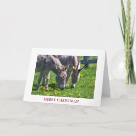 Tarjeta Festiva Navidades Animal Donkey