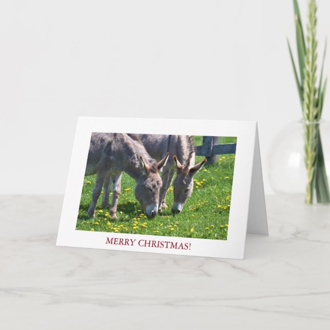 Tarjeta Festiva Navidades Animal Donkey (Anverso)