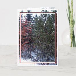 Tarjeta Festiva Navidades, Año Nuevo, vacaciones - En blanco