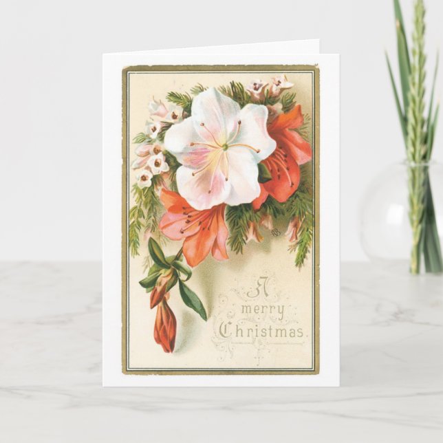 Tarjeta Festiva Navidades anticuados, flor (Anverso)