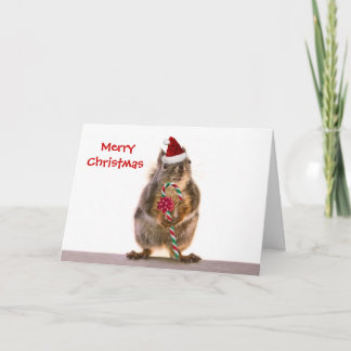 Tarjeta Festiva Navidades ardilla con candy cane