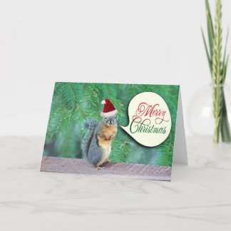 Tarjeta Festiva Navidades ardilla con fondo de árbol evergreen