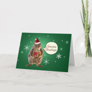 Tarjeta Festiva Navidades ardillas con copos de nieve