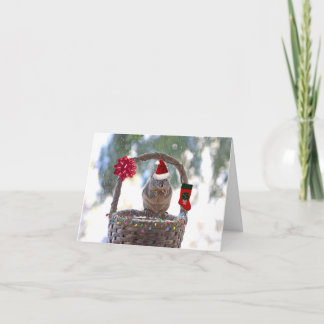 Tarjeta Festiva Navidades ardillas en canasta de nieve