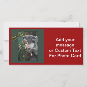 Tarjeta Festiva Navidades australianos Koala con Candy Cane