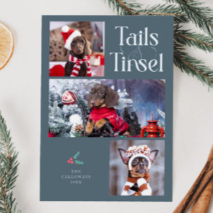 Tarjeta Festiva Navidades azules de la pizarra de fotos de perro d