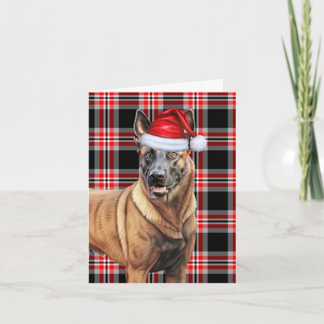 Tarjeta Festiva Navidades belgas malineses Navidades de felinos ro (Anverso)