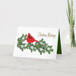 Tarjeta Festiva Navidades bendicen al cardenal rojo en rama de cer
