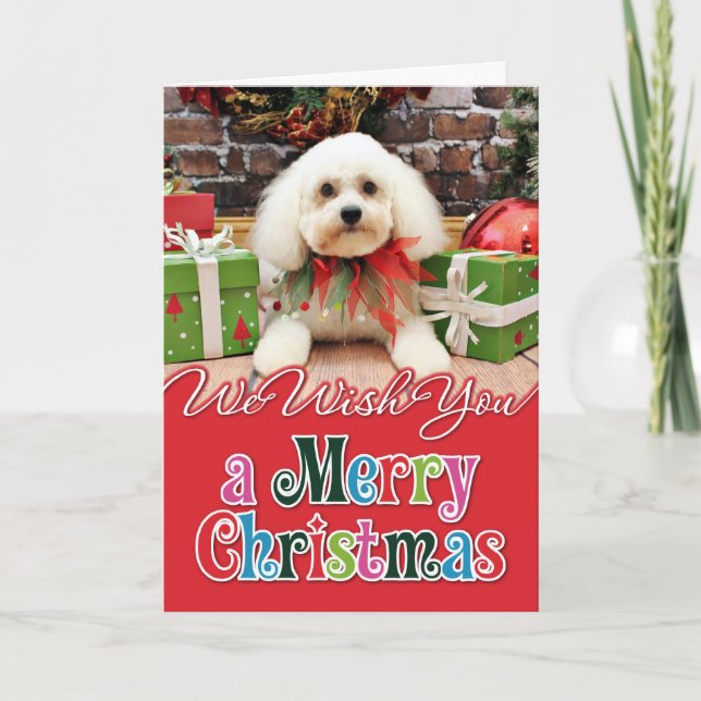 Tarjeta Festiva Navidades - Bichon Frise - Harry (Anverso)