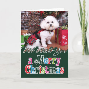 Tarjeta Festiva Navidades - Bichon Frise - Mia