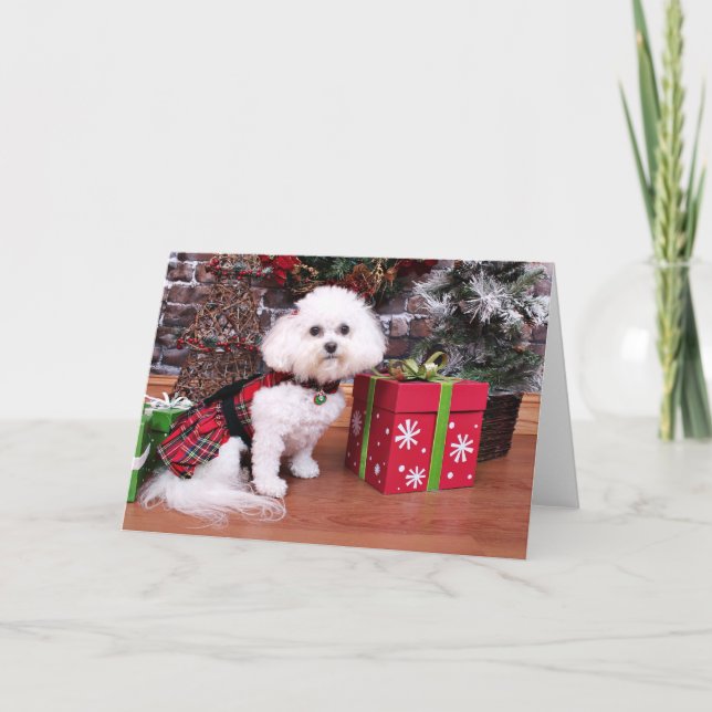 Tarjeta Festiva Navidades - Bichon Frise - Mia (Anverso)