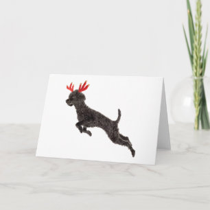 Tarjeta Festiva Navidades Black Toy Poodle Perros Reindeer Antlers