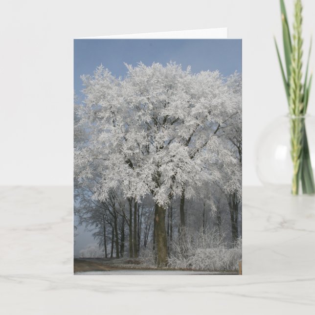 Tarjeta Festiva Navidades blancos (Anverso)