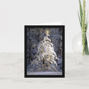 Tarjeta Festiva Navidades blancos