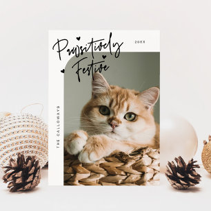 Tarjeta Festiva Navidades blancos de foto de gato festivo y patern