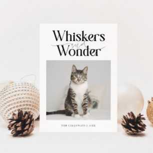 Tarjeta Festiva Navidades blancos de fotos de gatos sacudidos y br
