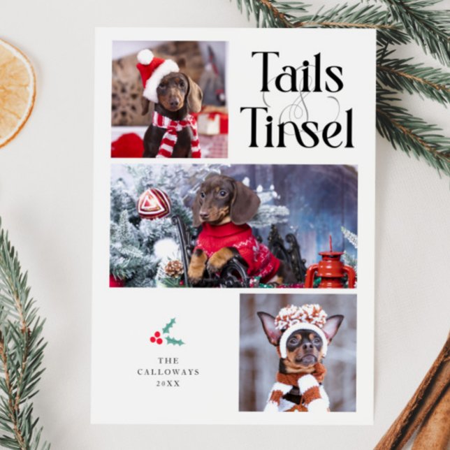 Tarjeta Festiva Navidades blancos de fotos de perros de cola y de  (Subido por el creador)