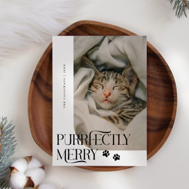 Tarjeta Festiva Navidades blancos de la foto de un gato de merry (Subido por el creador)