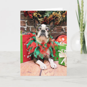 Tarjeta Festiva Navidades - Boston Terrier - Natty