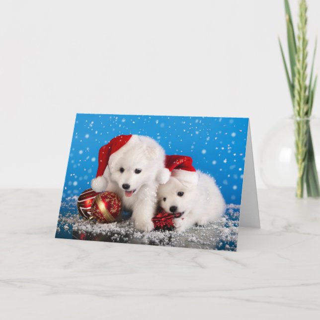 Tarjeta Festiva Navidades cachorran Spitz panameño blanco (Anverso)