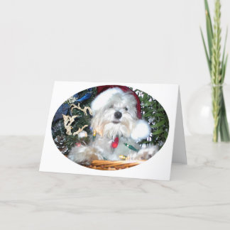 Tarjeta Festiva navidades cachorritos