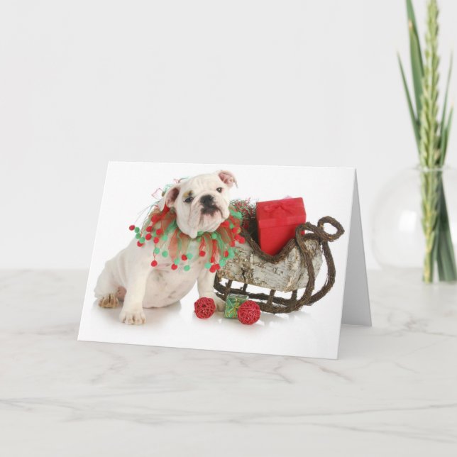 Tarjeta Festiva Navidades Cachorros - Bulldog Inglés Sentado De Ca (Anverso)