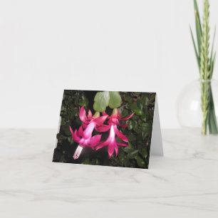 Tarjeta Festiva Navidades cactus notecard