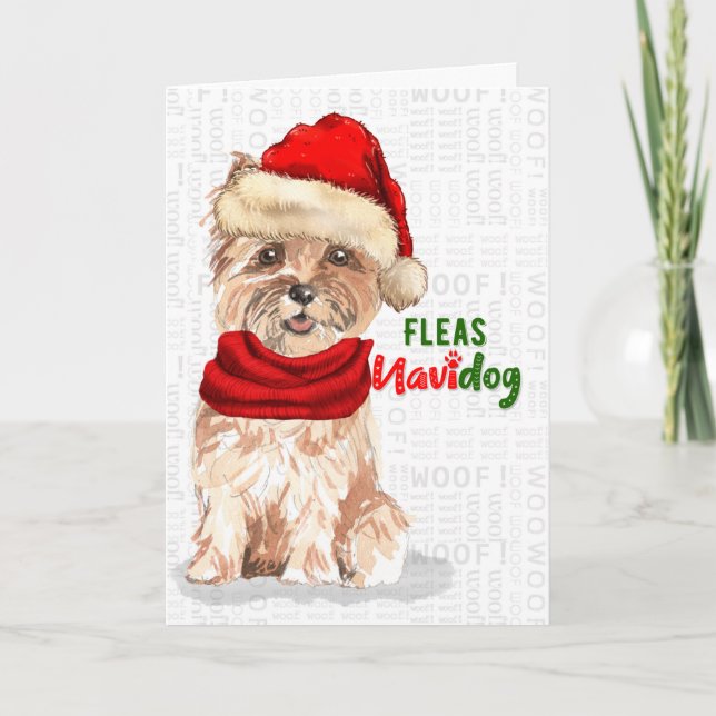 Tarjeta Festiva Navidades Cairn Terrier Dog Fleas NaviDOG (Anverso)