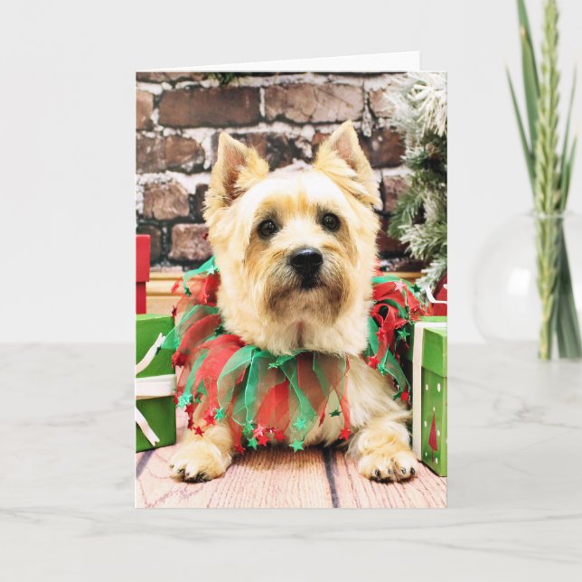 Tarjeta Festiva Navidades - Cairn Terrier - Lola (Anverso)