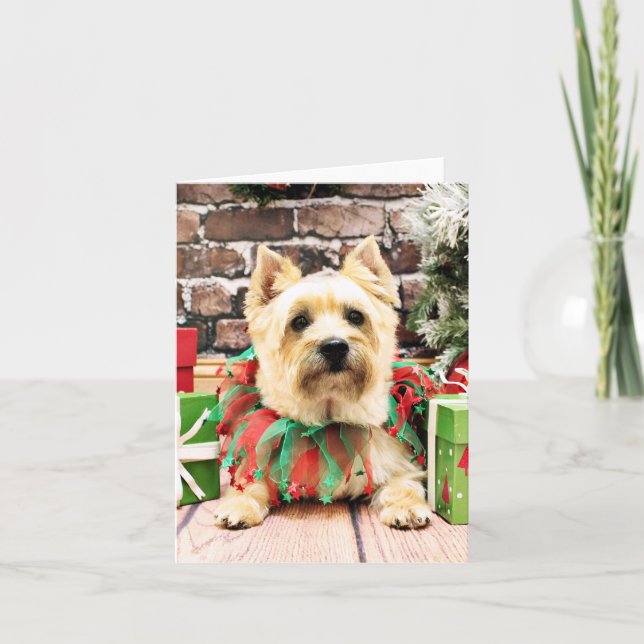 Tarjeta Festiva Navidades - Cairn Terrier - Lola (Anverso)