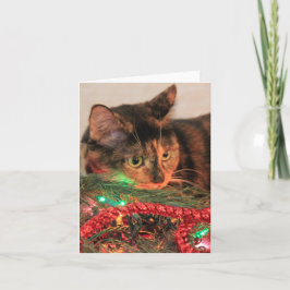 Tarjeta Festiva Navidades Calico, ¡a gato le gustan las luces!