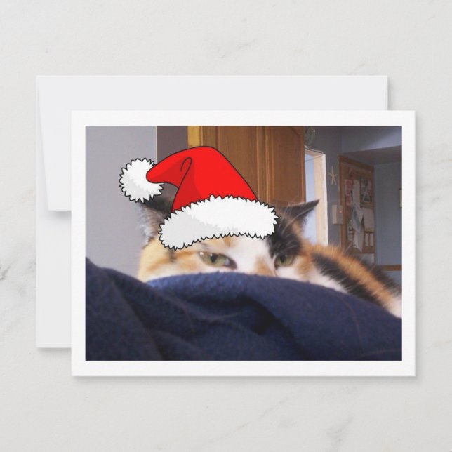 Tarjeta Festiva Navidades Calico Cat (Anverso)