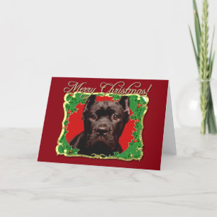 Tarjeta Festiva Navidades Cane Corso perro