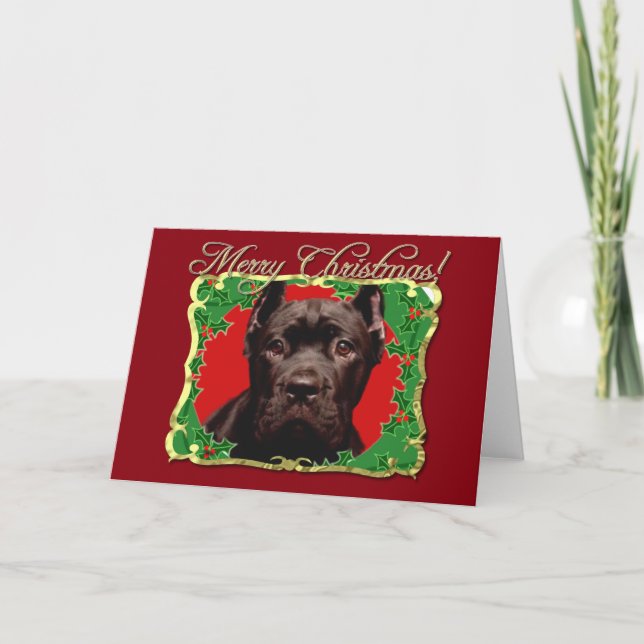 Tarjeta Festiva Navidades Cane Corso perro (Anverso)