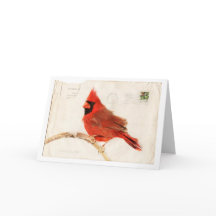 Navidades Cardinal