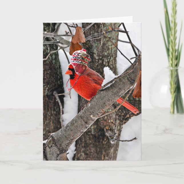 Tarjeta Festiva Navidades Cardinal (Anverso)