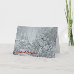 Tarjeta Festiva Navidades cardinales